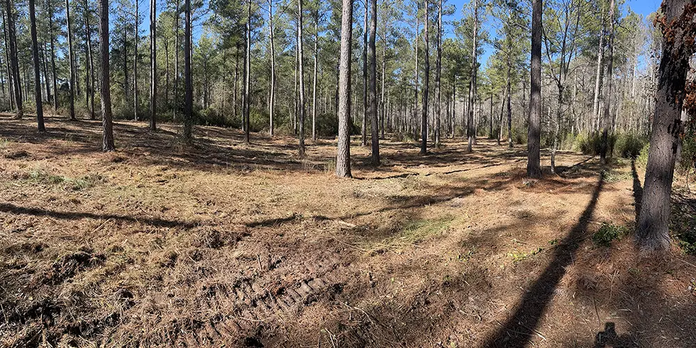 forestry mulching after