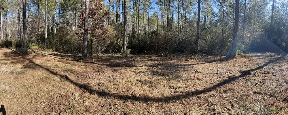 forestry mulching before