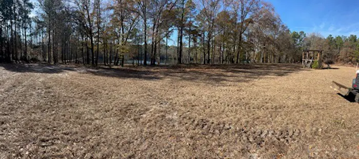 forestry mulching after