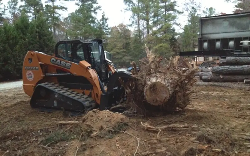 Forestry Mulching