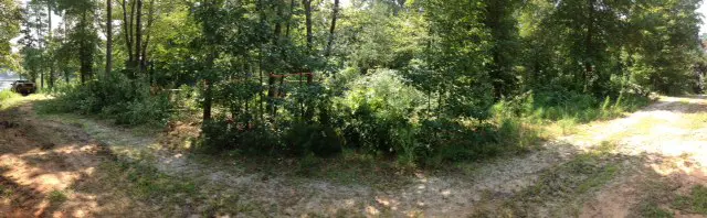 lot clearing before